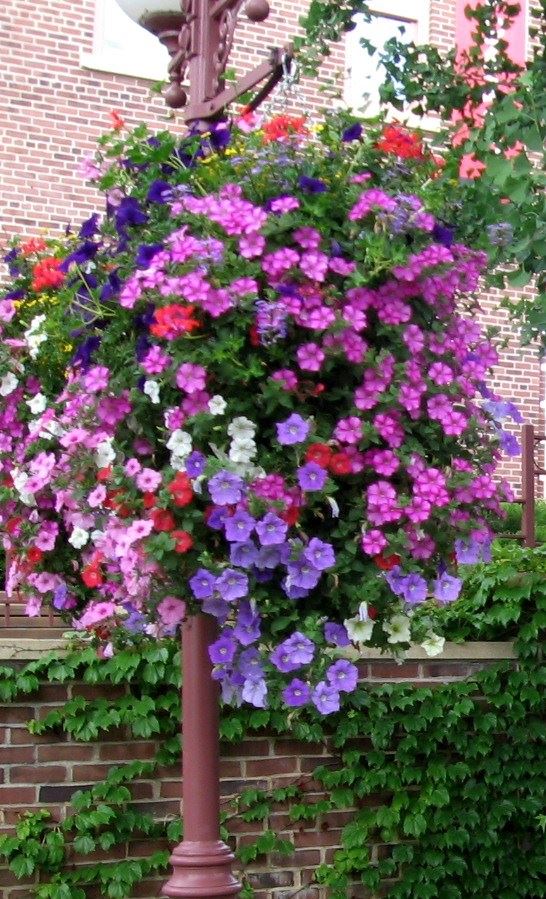 Flower basket