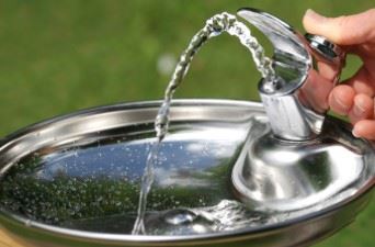 Water fountain