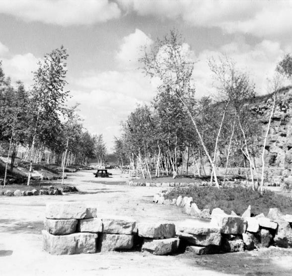 History of Memorial Park Rocks and Picnic Table