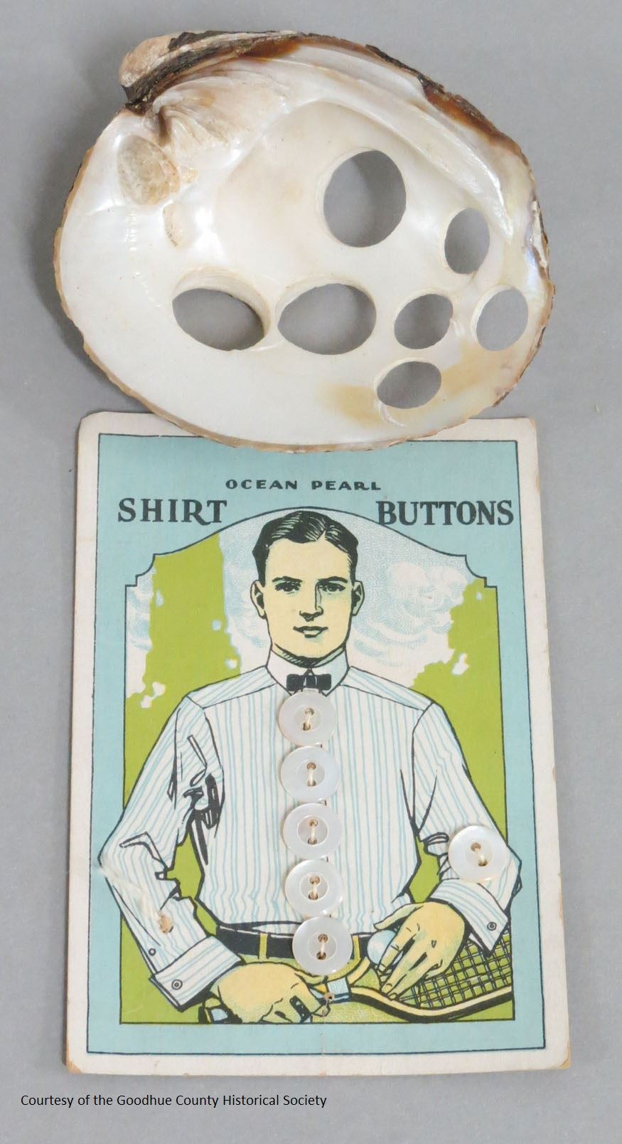Ocean Pearl Shirt Buttons and the Pearl They Came from