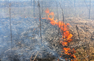 A controlled, prescribed burn