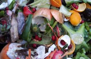 Food scraps